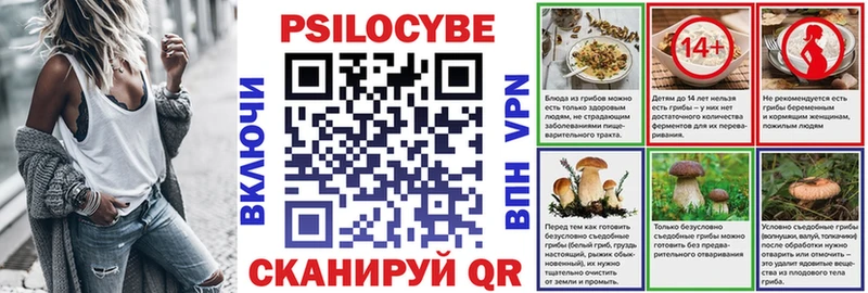 Купить где  Славянск-на-Кубани  Галлюциногенные грибы мицелий 